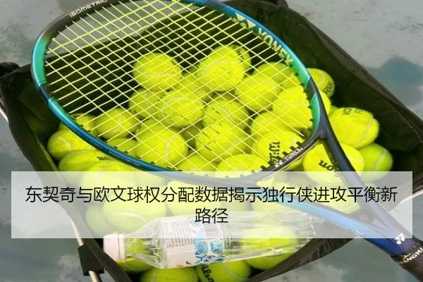 东契奇与欧文球权分配数据揭示独行侠进攻平衡新路径
